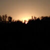 ines_belmokhtar
